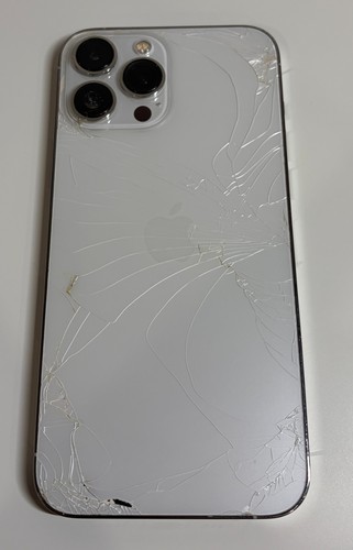 Apple iphone pro max 256gb - 13,